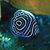Dick Mahan's profile image