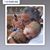 Tracy Hinton Crowell's profile image