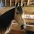 Bayron Knight's profile image