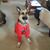 Melissa Grimes Garifo's profile image