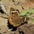 Karen Richardson's profile image