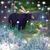 Karina Robbins's profile image