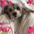 Joyann Joyann's profile image