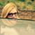 Donna Lea Craft's profile image