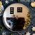 Wendy Crown's profile image