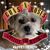 Kris Hockenberry's profile image