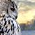 Michelle Deal's profile image