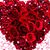 Linda Feil Thorne's profile image