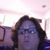 Karen Mckinney's profile image