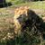 Lynn Schillinger Bastian's profile image