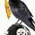 Jay George's profile image