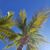 Krista Ramassini Sipos's profile image