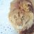 Elizabeth Wurtz's profile image