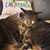 Konstanze Willbold's profile image