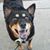 Angela Perreault's profile image