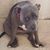Jon Honaker's profile image