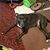 Dill Besemer-DiFulvio's profile image