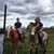 Michelle Gribbins's profile image