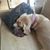 Mary Burkhardt's profile image