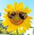 Brenda Weiler's profile image