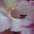 Michelle Bowen's profile image