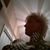 Eva-Maria Scordilis's profile image
