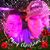 Patricia Lake Voyles's profile image