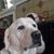 Jill McCarthy's profile image