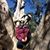 Beth Schumacher Voigt's profile image