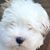 Michael Wise's profile image