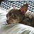 Susan Rieck-Nester's profile image
