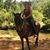 Jakkiy Heimbach's profile image
