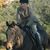 Fiona Tustian's profile image