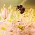 Tammy Toler's profile image