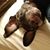 Sarah Shaner's profile image