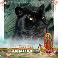 Jaime Salcedo's profile image