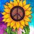 Pattie Bourque Hoelzer's profile image