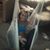 Destiny Lorraine Chastain's profile image