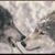 Denise Tedesco Matson's profile image