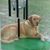 Betty Nieuwsma Wagner's profile image