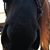 Kat Martinez's profile image