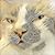 Judy Reynolds's profile image