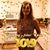 Shelly Wilson Stanley Owensby's profile image