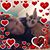 Jennifer Jackson's profile image