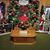 Debbie Dominick Roberts's profile image