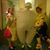 Karen George's profile image