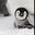 D C🐧's profile image