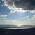 Leslie Shorty Terrill Forst's profile image