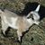 Glenna Jordan's profile image