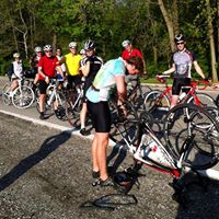 Nicholas Rifle's profile image